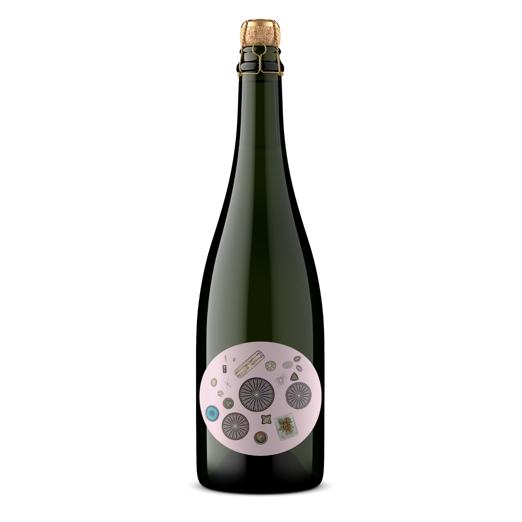 2019 Blanc de Noirs Sparkling Pinot Noir