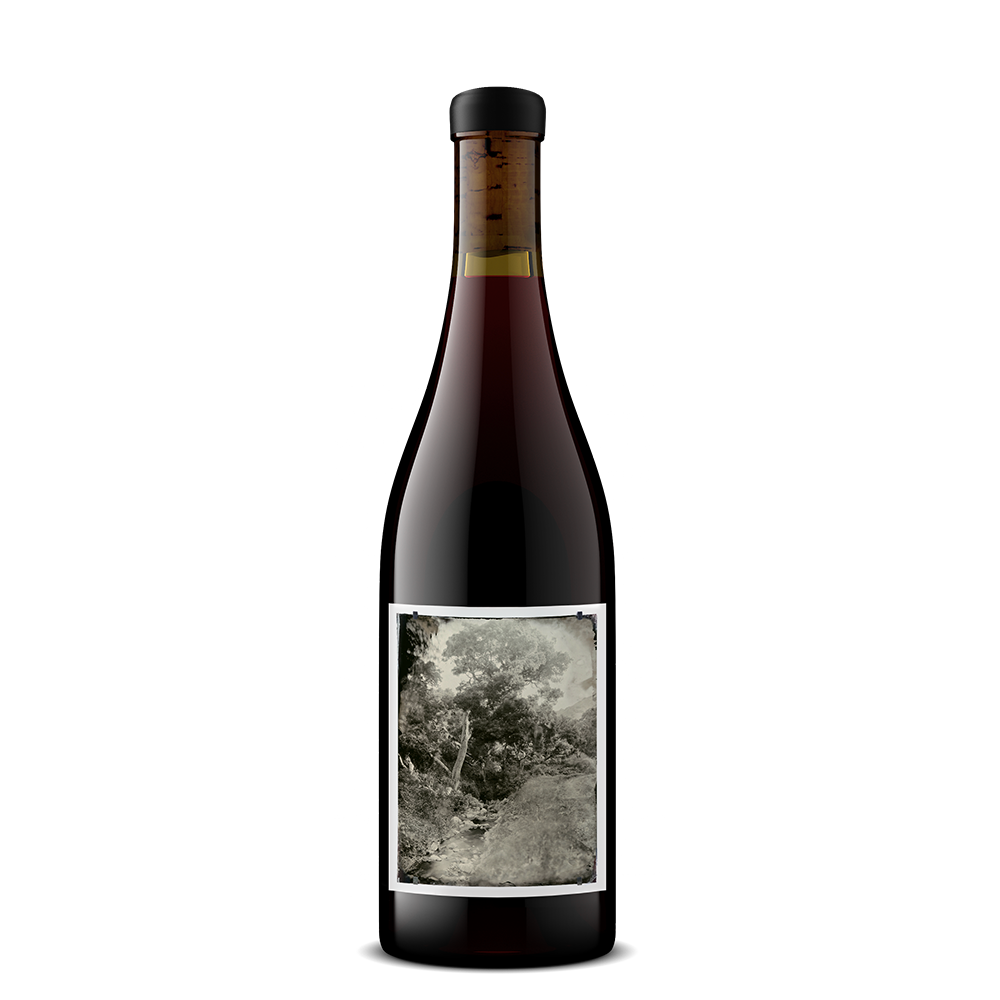 2024 White Buffalo Land Trust Pinot Noir